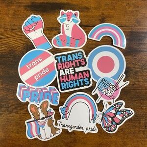 10PC Transgender Pride Sticker Pack